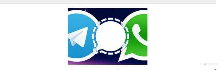 تطبيق سينجال Signal وتيليجرام