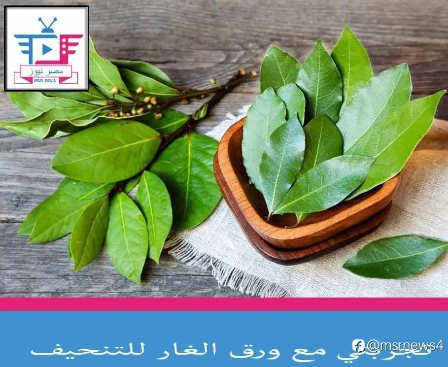 تجربتي مع ورق الغار للتنحيف