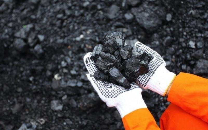 SGER Raih Kontrak Pengiriman 500 Ribu Ton Batu Bara ke Vietnam