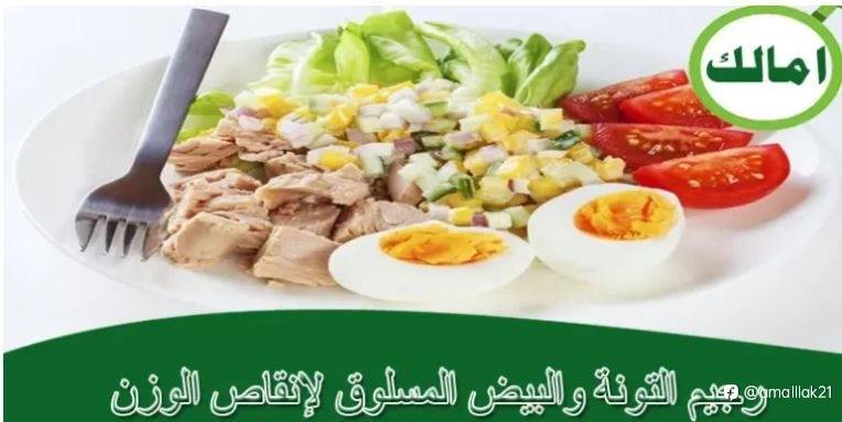 رجيم التونة والبيض المسلوق لإنقاص الوزن