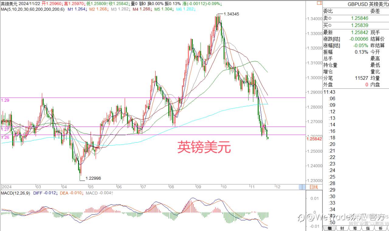 2024年11月22日|每日汇评-策略分析|王萍：非美空头再进攻
