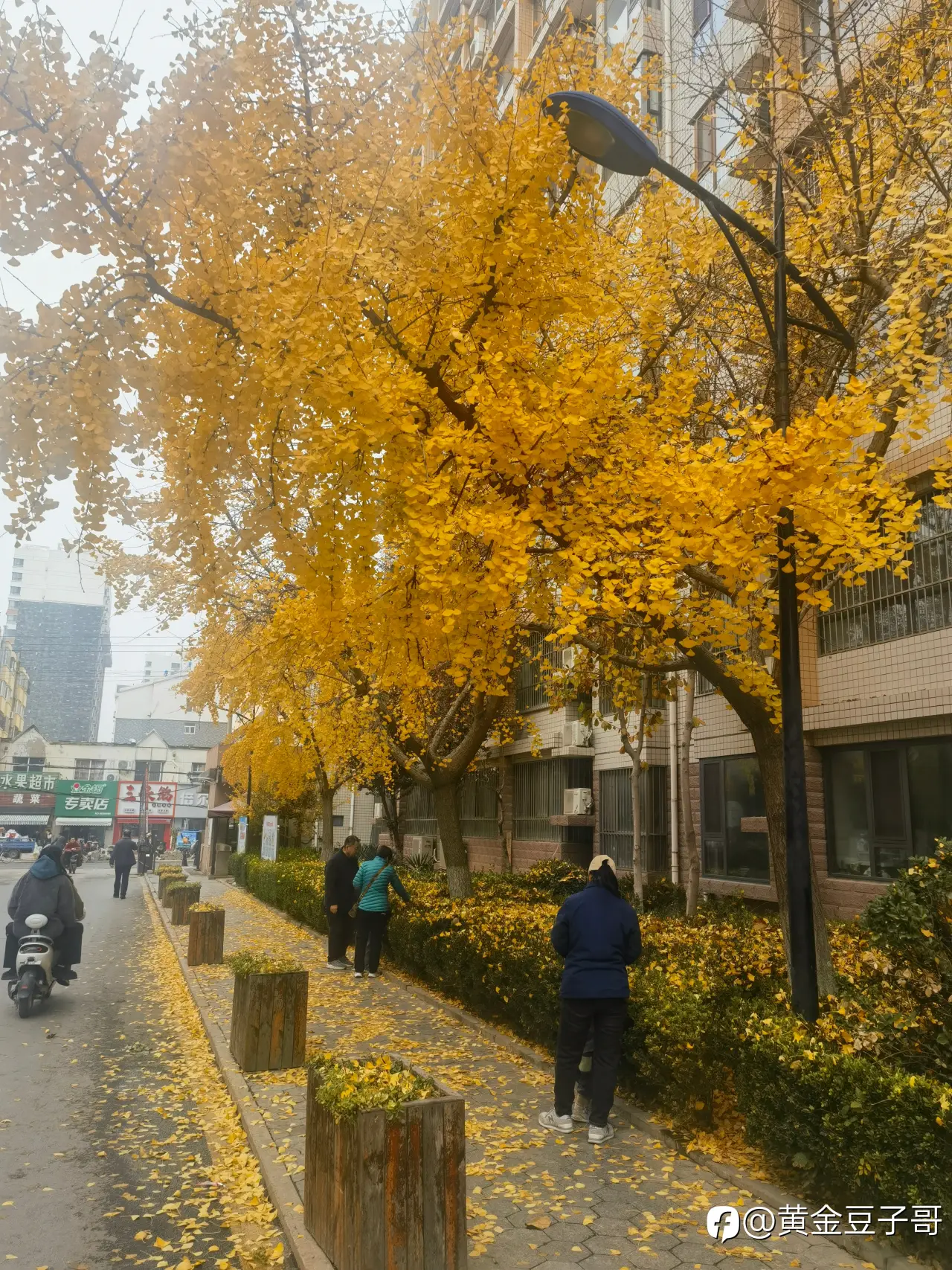 feed image