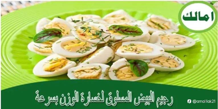 رجيم البيض المسلوق لخسارة الوزن بسرعة