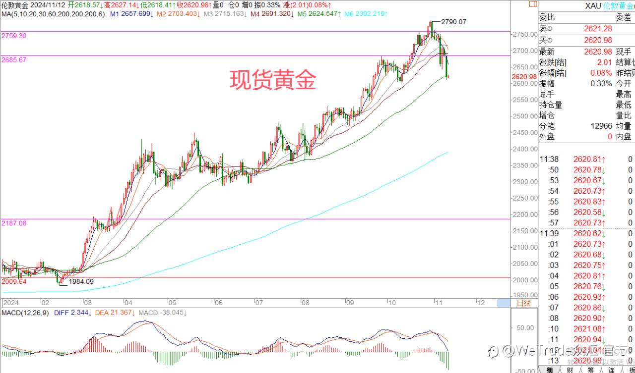 2024年11月12日|每日汇评-策略分析|王萍：非美还未止跌