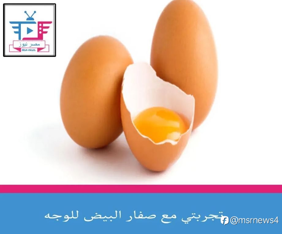 تجربتي مع صفار البيض للوجه