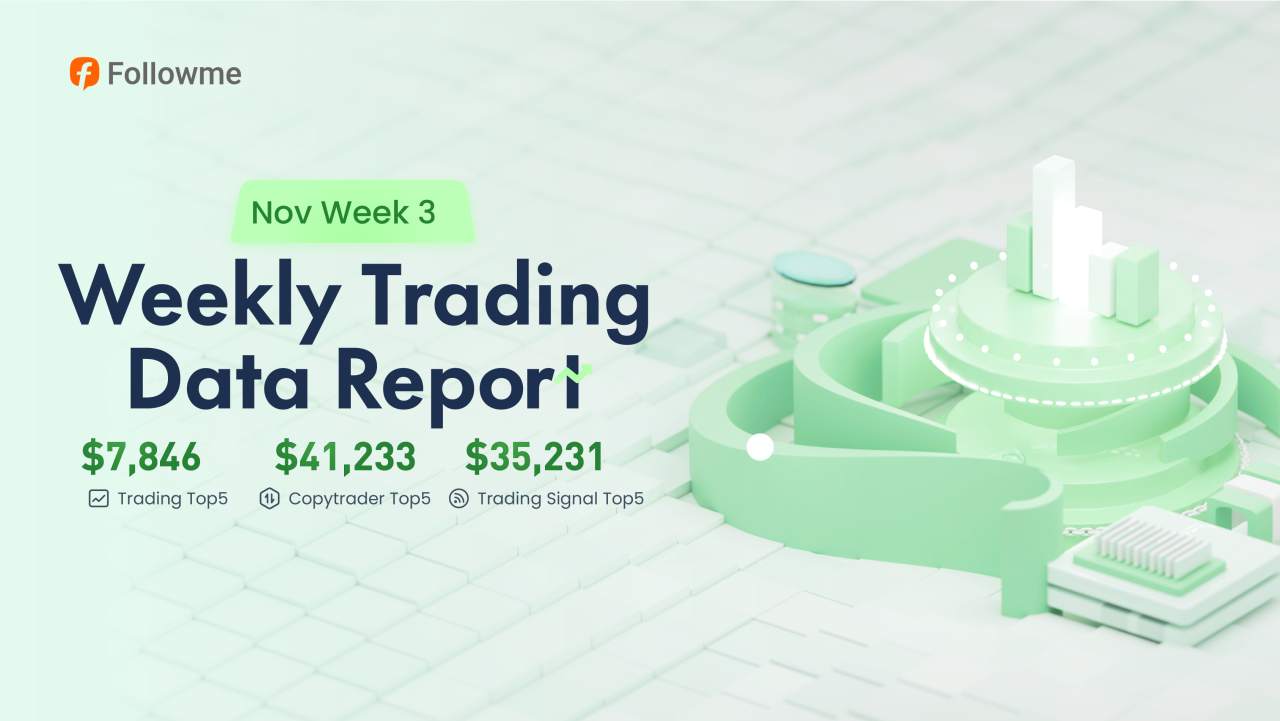 Weekly Data Report | Spotlight on Top Performers and Their Profits