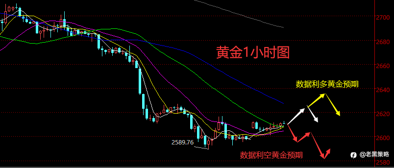 老黑策略：11.13晚盘外汇、黄金、原油分析策略