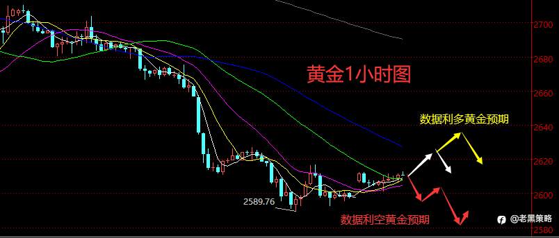 老黑策略：11.13晚盘外汇、黄金、原油分析策略