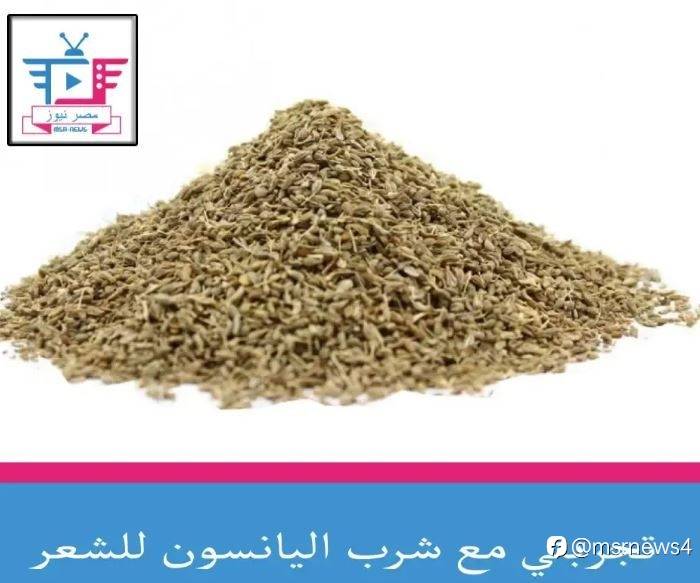 تجربتي مع شرب اليانسون للشعر