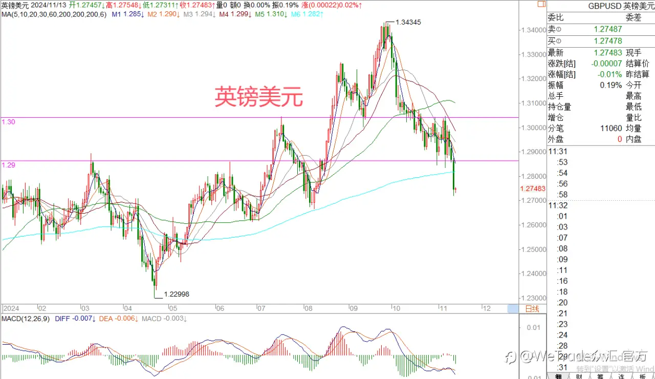 2024年11月13日|每日汇评-策略分析|王萍：黄金还未出现止跌信号