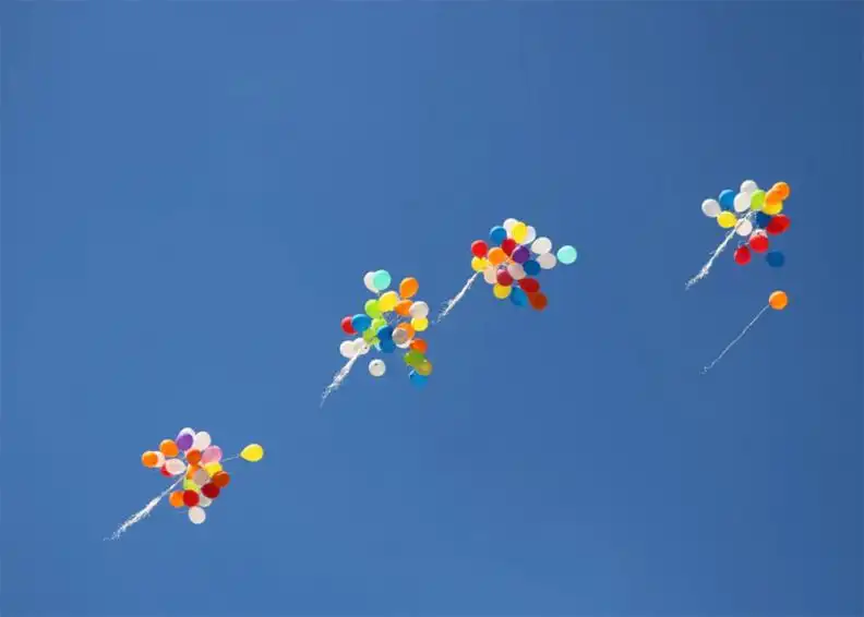 feed image