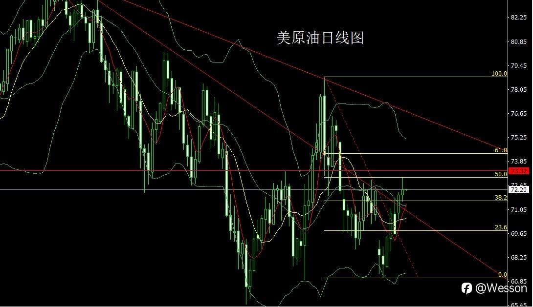 11月6日：选情焦灼压美指，金银搓揉先做多