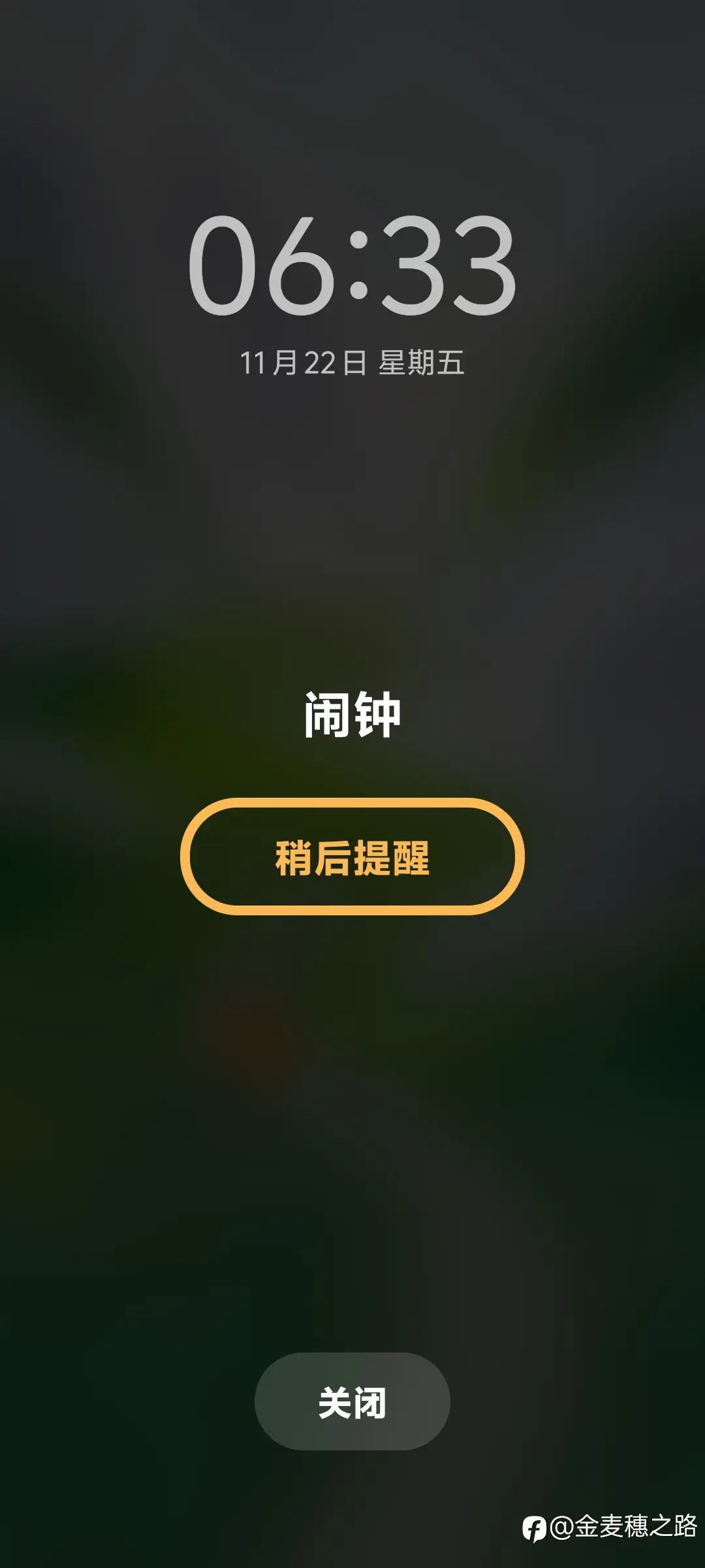 feed image
