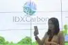 Persiapan Dekarbonisasi, 117 Emiten Ramaikan IDX Net Zero Incubator 2024