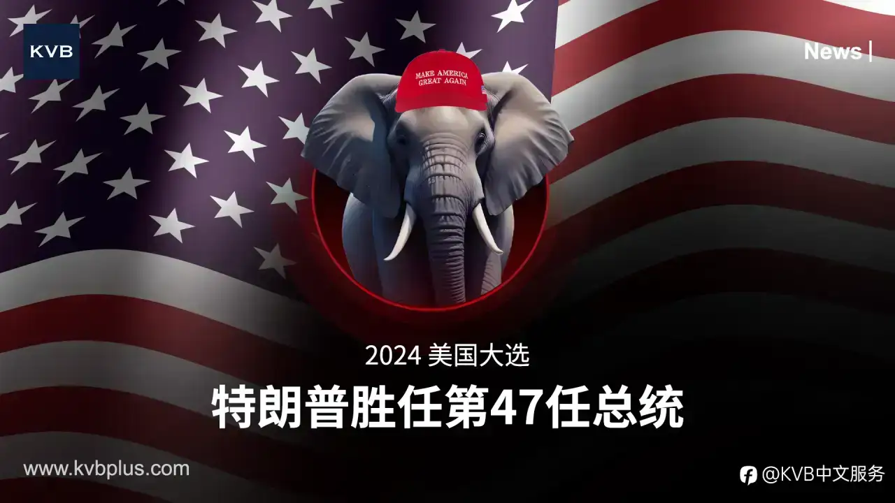 🏆 特朗普宣布胜利——但竞选尚未尘埃落定