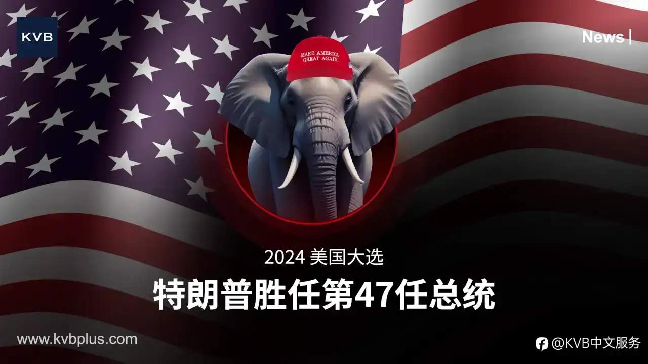 🏆 特朗普宣布胜利——但竞选尚未尘埃落定