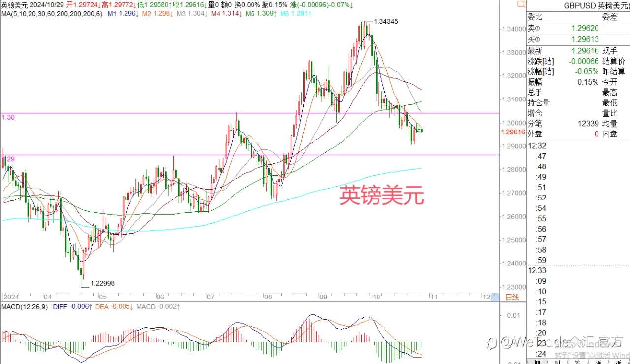 2024年10月29日|每日汇评-策略分析|王萍:非美在意欲止跌震荡