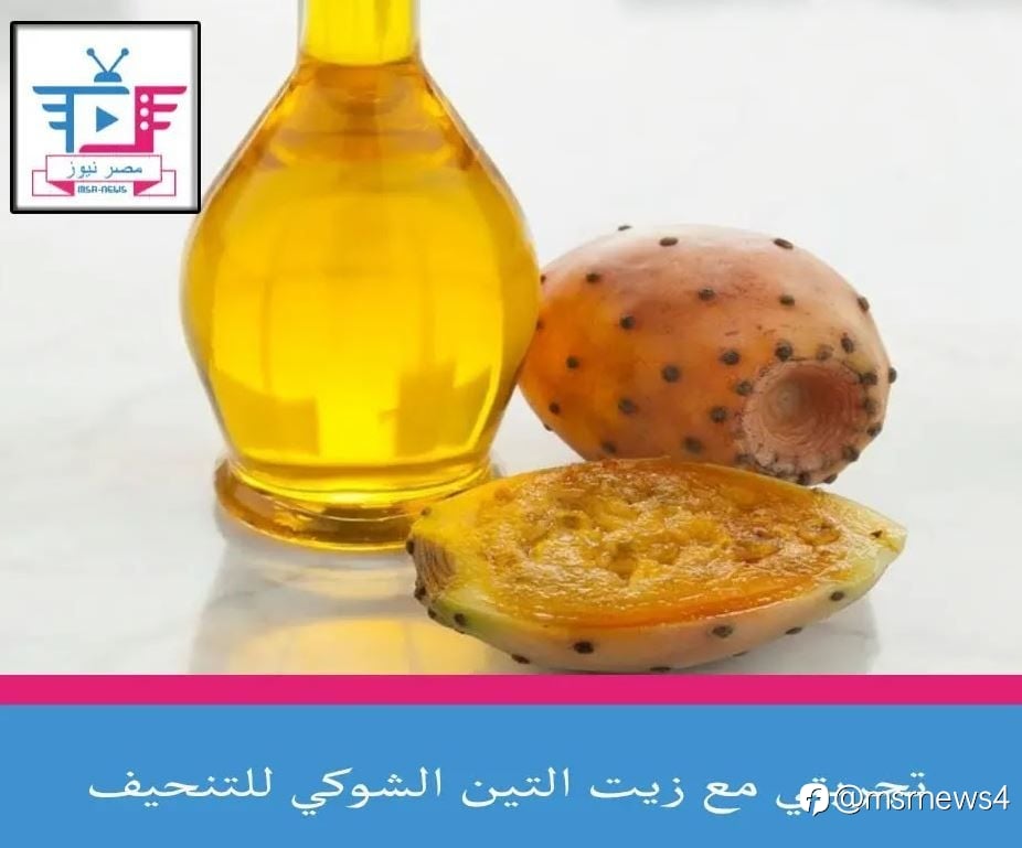 تجربتي مع زيت التين الشوكي للتنحيف