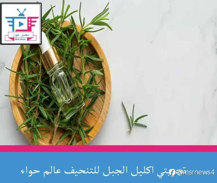 تجربتي اكليل الجبل للتنحيف عالم حواء