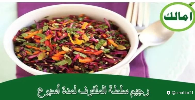 رجيم سلطة الملفوف لمدة أسبوع