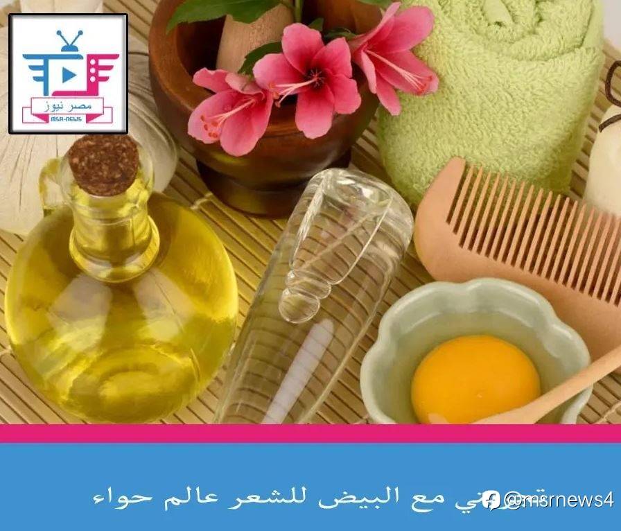 تجربتي مع البيض للشعر عالم حواء