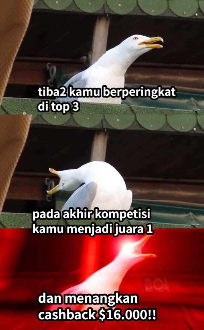 Hiburan dengan Memes Kompetisi Trading S15