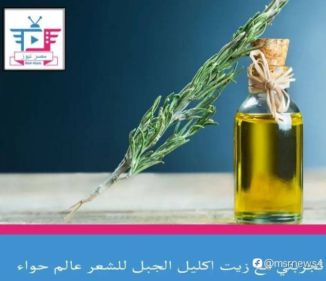 تجربتي مع زيت اكليل الجبل للشعر عالم حواء