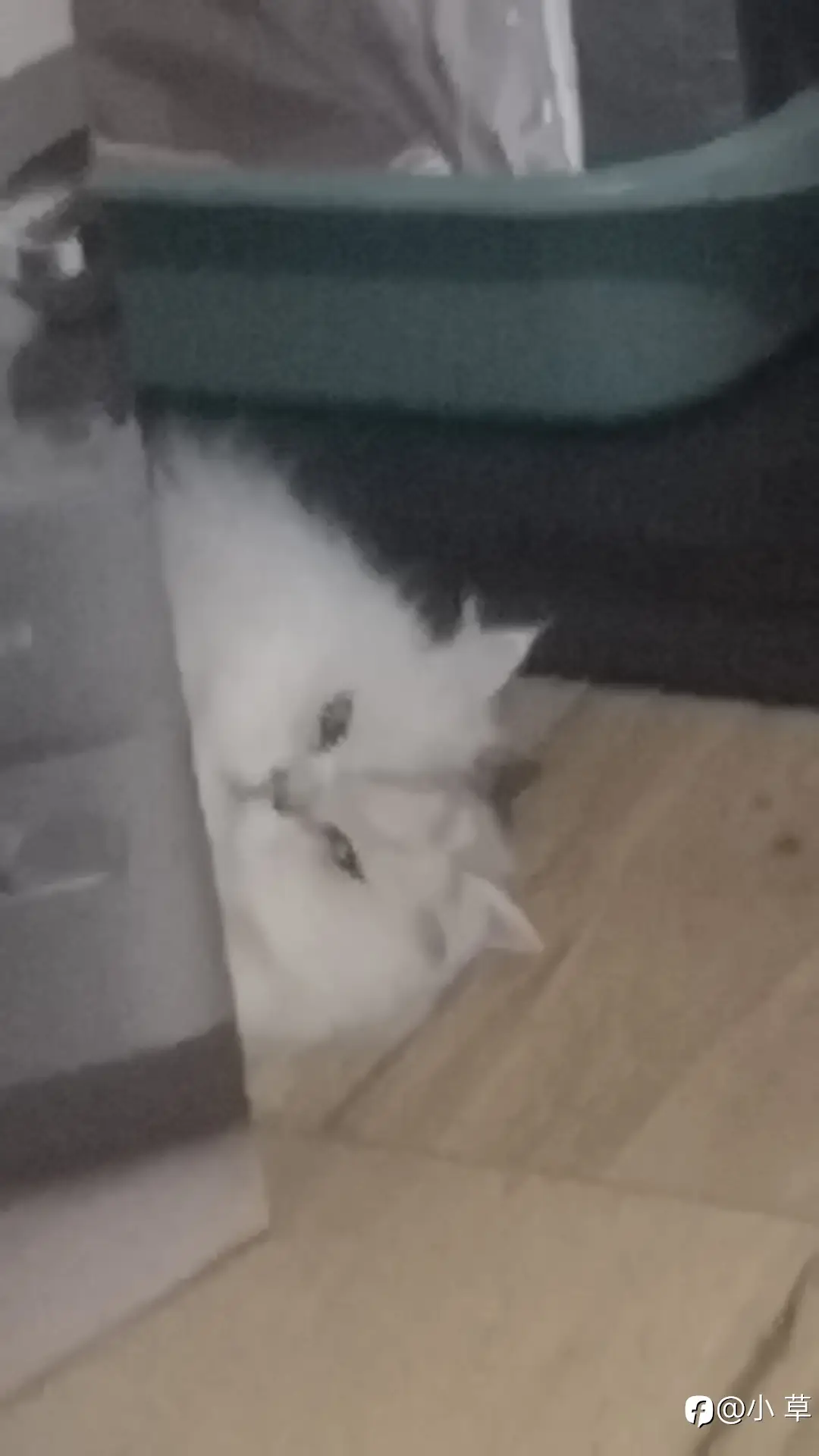 feed image