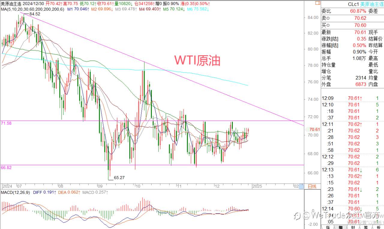 2024年12月30日|每日汇评-策略分析|王萍：原油震荡稍偏多