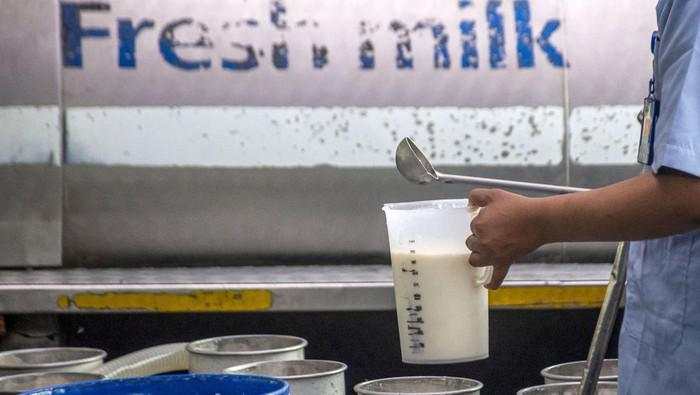 Koperasi Siap Pasok 1,3 Juta Liter per Hari buat Kebutuhan Susu MBG