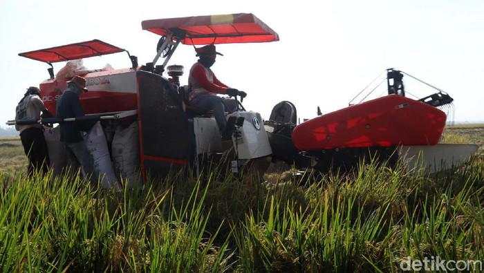 Percepat Swasembada Pangan, Pindad Didorong Produksi Alsintan
