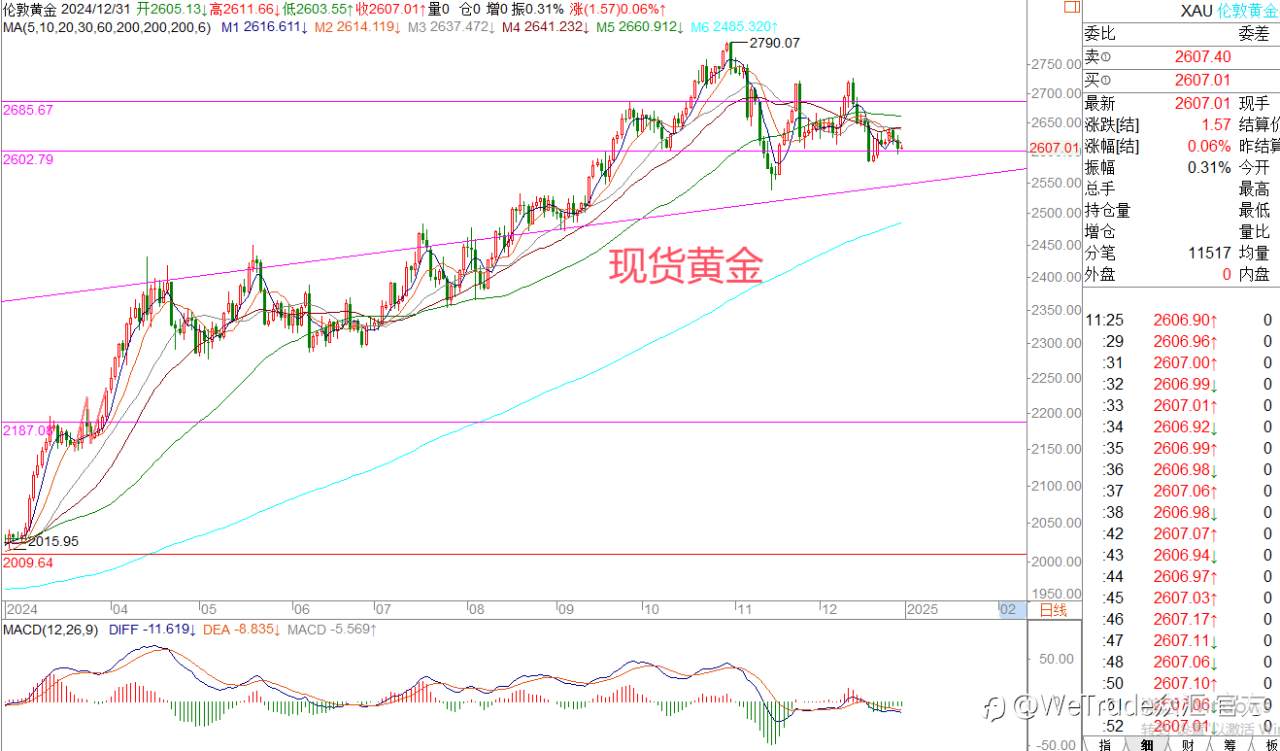 2024年12月31日|每日汇评-策略分析|王萍：非美还是偏弱势震荡