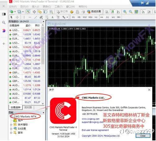 CWG Markets的多重身份与连坐政策：揭开资金冻结背后的真相
