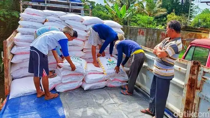 Tok! Pemerintah Tetapkan Alokasi Pupuk Subsidi 9,55 Juta Ton 2025