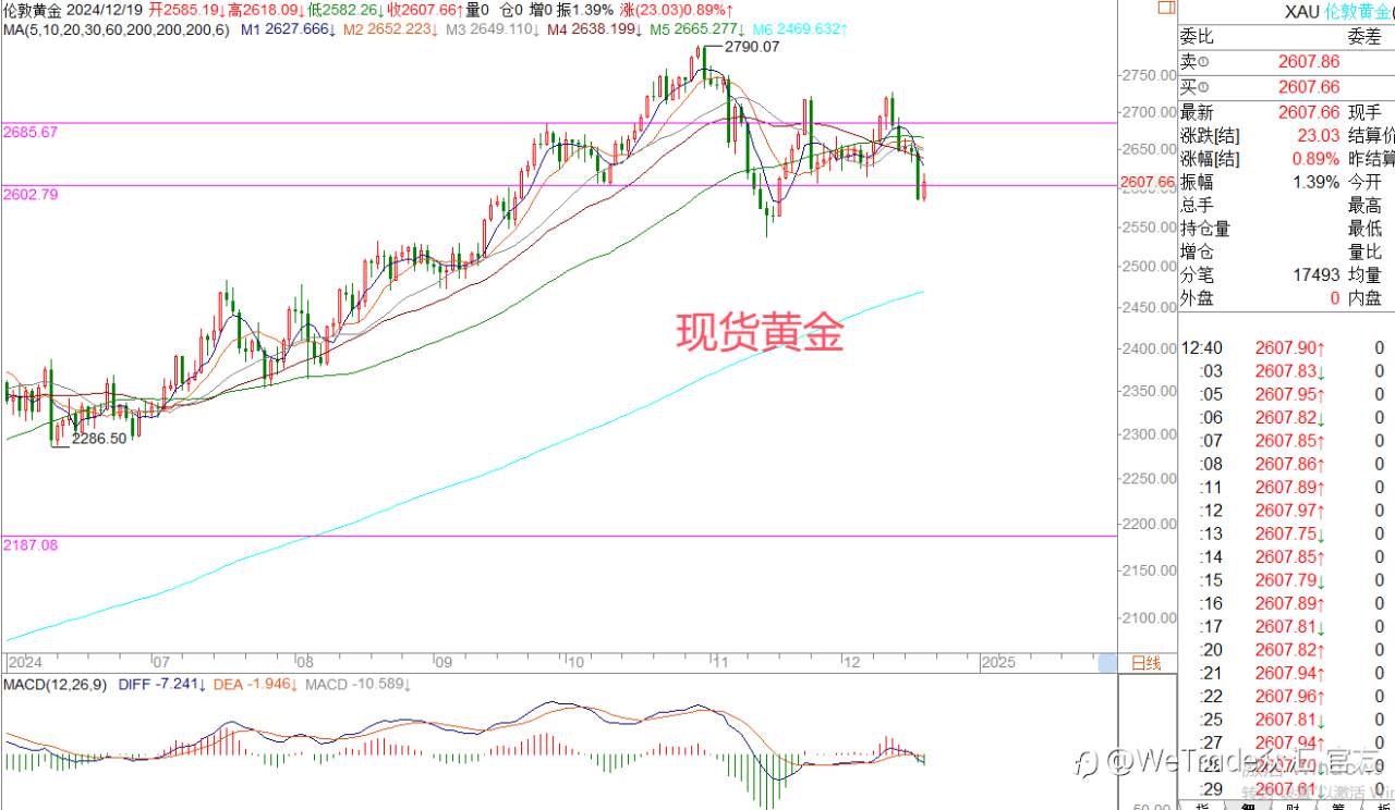 2024年12月19日|每日汇评-策略分析|王萍：美日偏多运行