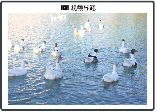 2024年全球十大商业事件：马斯克豪赌、博通崛起、谷歌量子计算芯片Willow重磅登场