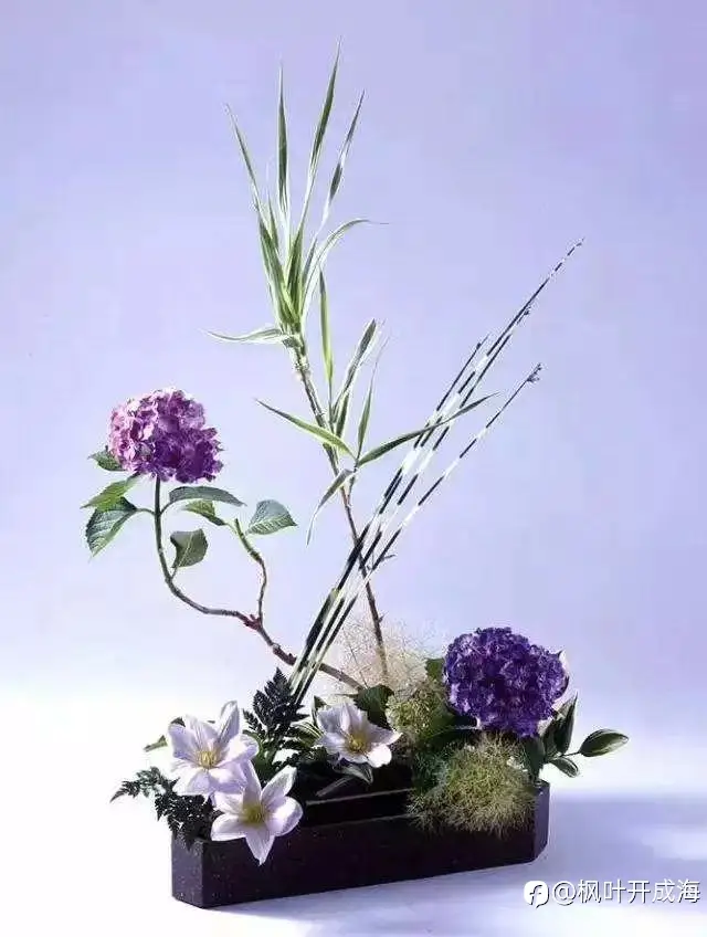 feed image