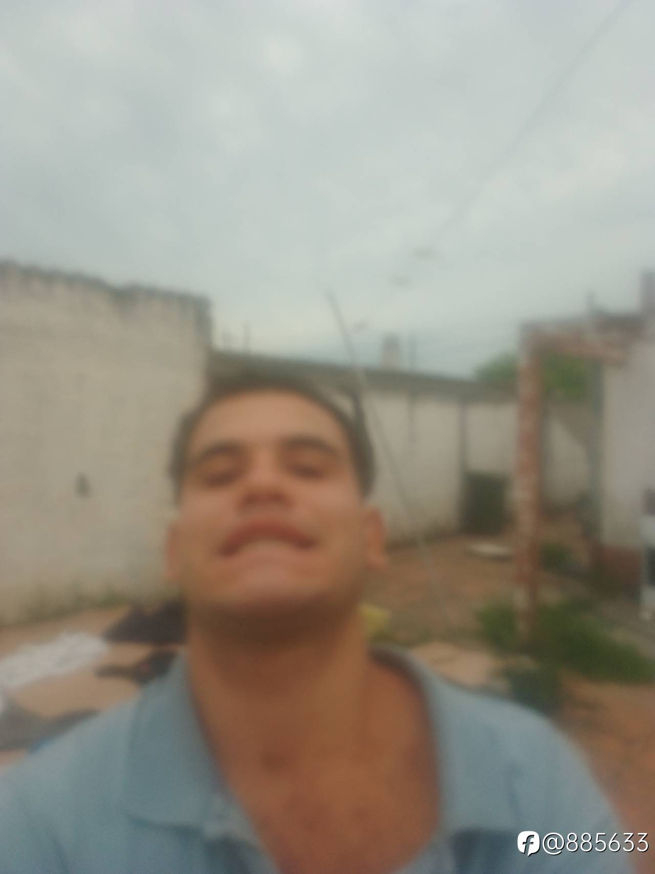 feed-image-1