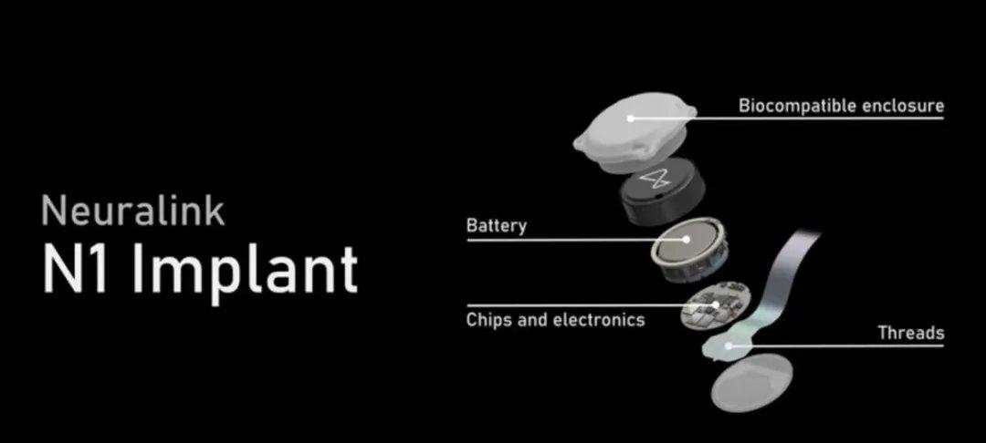 马斯克Neuralink：本十年最重要的公司，引领人机交互的未来，2030年增强人类要破100万