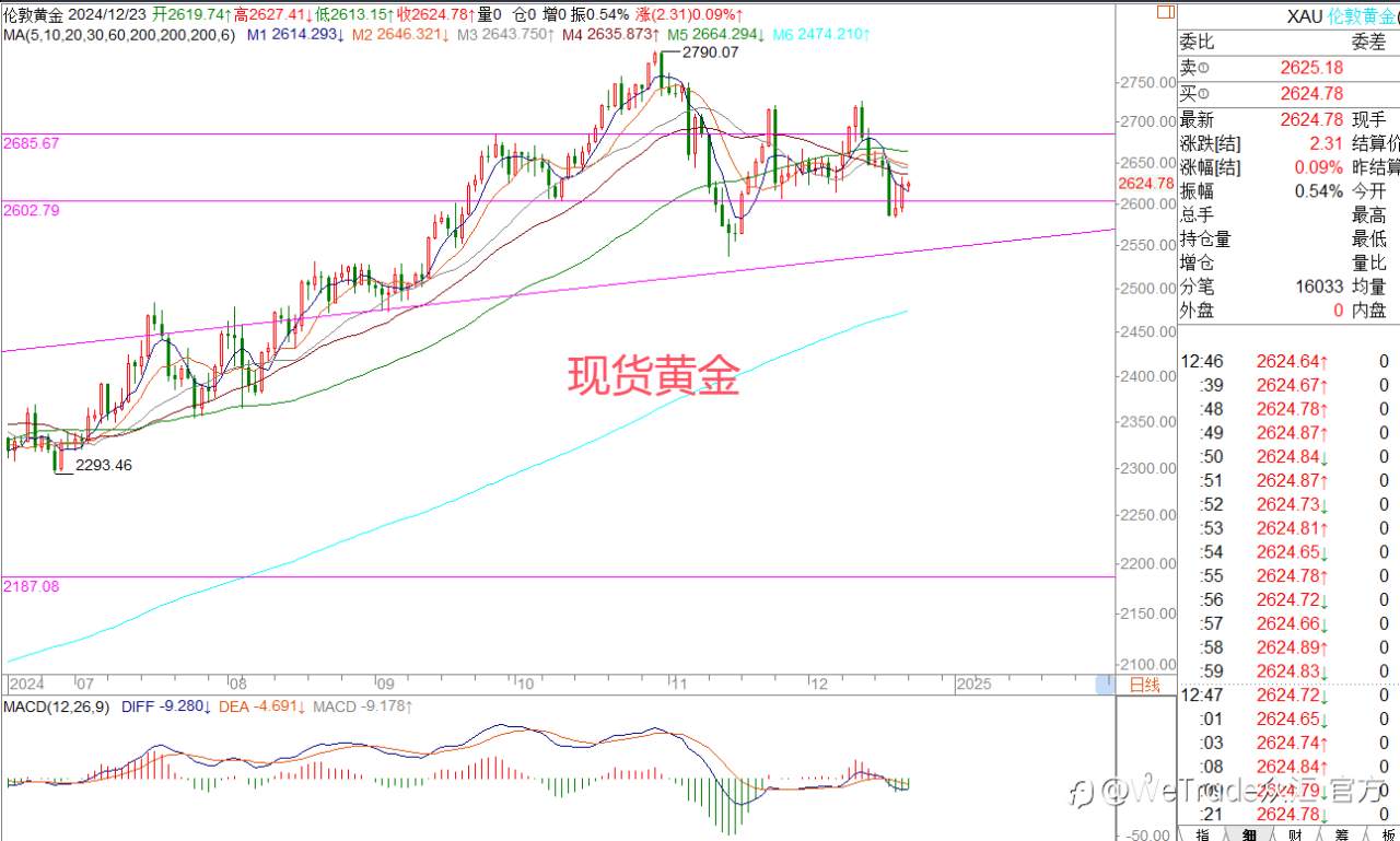 2024年12月23日|每日汇评-策略分析|王萍:欧美英镑关注止跌运行