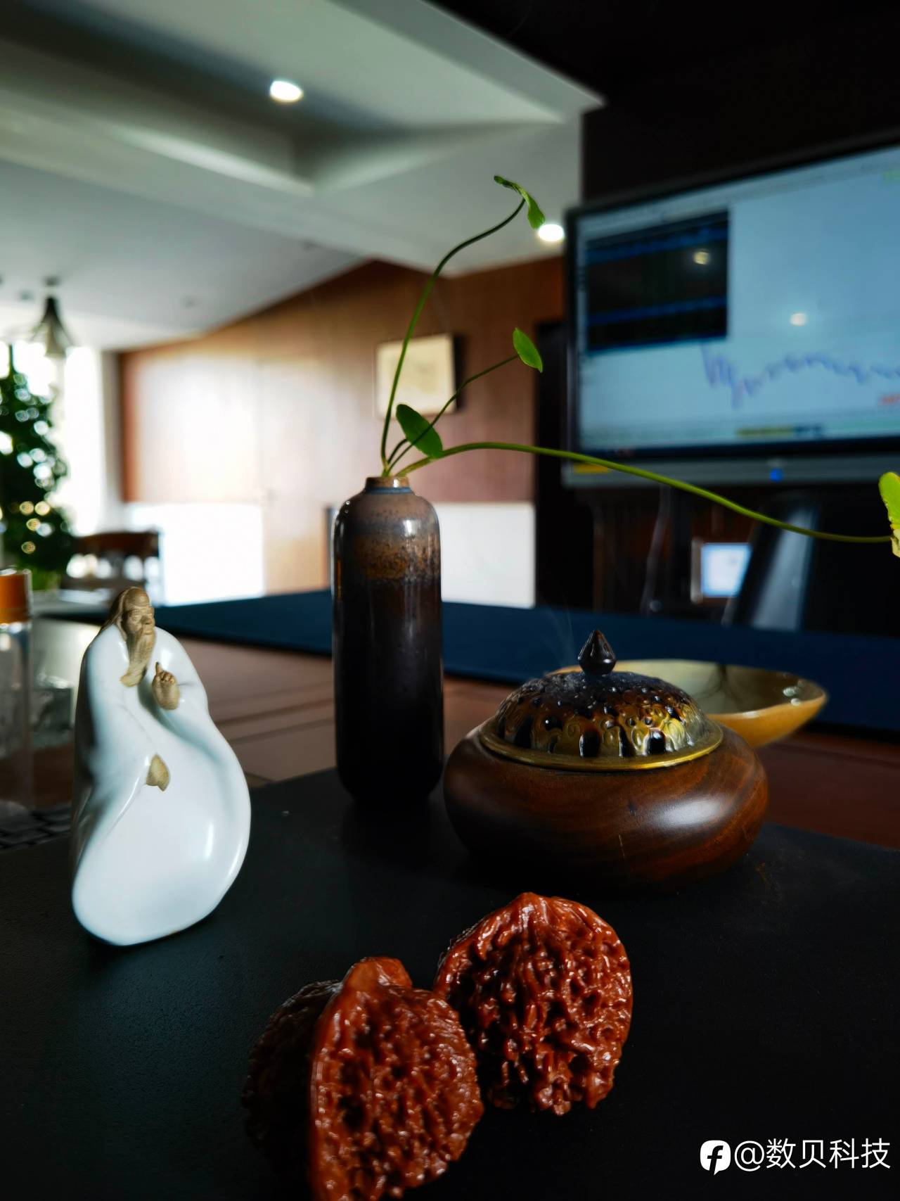 feed-image-1