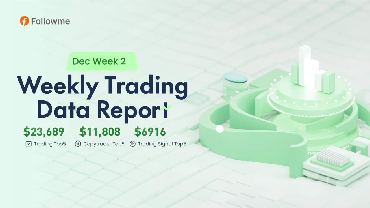 Weekly Data Report | Spotlight on Top Performers and Their Profits