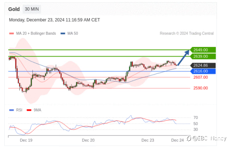 TradingCentral黄金外汇分析：欧美黄金原油2024.12.23