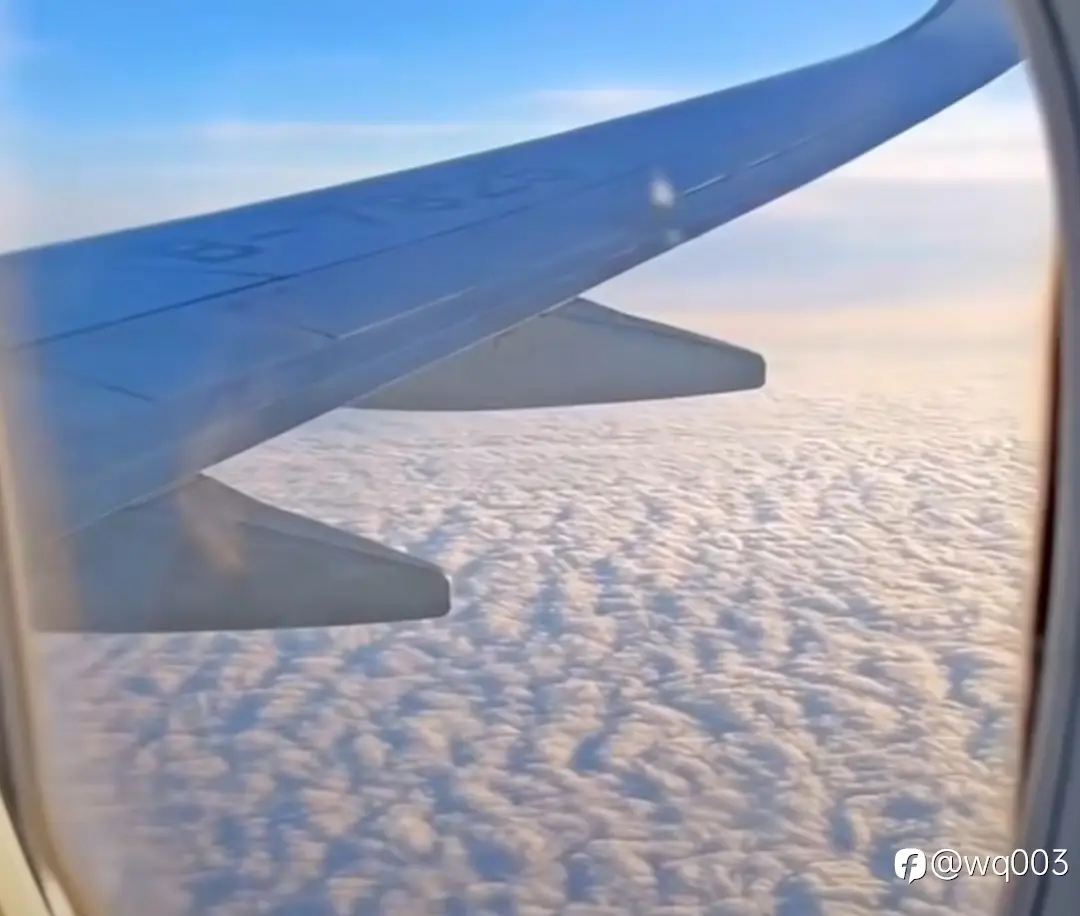 feed image