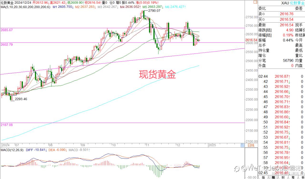 2024年12月25日|每日汇评-策略分析|王萍：原油稍微震荡偏多