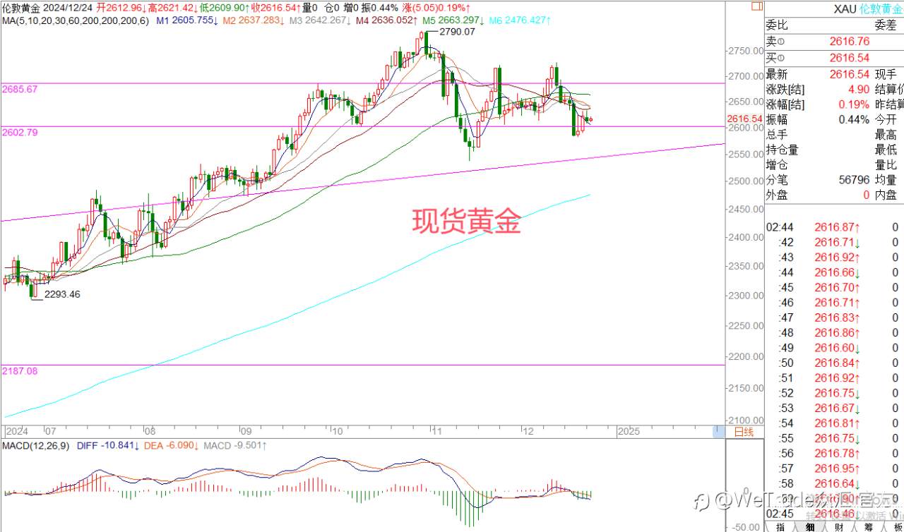 2024年12月25日|每日汇评-策略分析|王萍:原油稍微震荡偏多