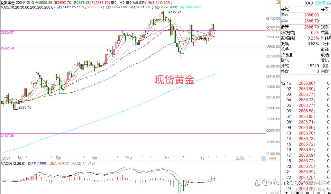 2024年12月13日|每日汇评-策略分析|王萍：黄金依然还是震荡走势