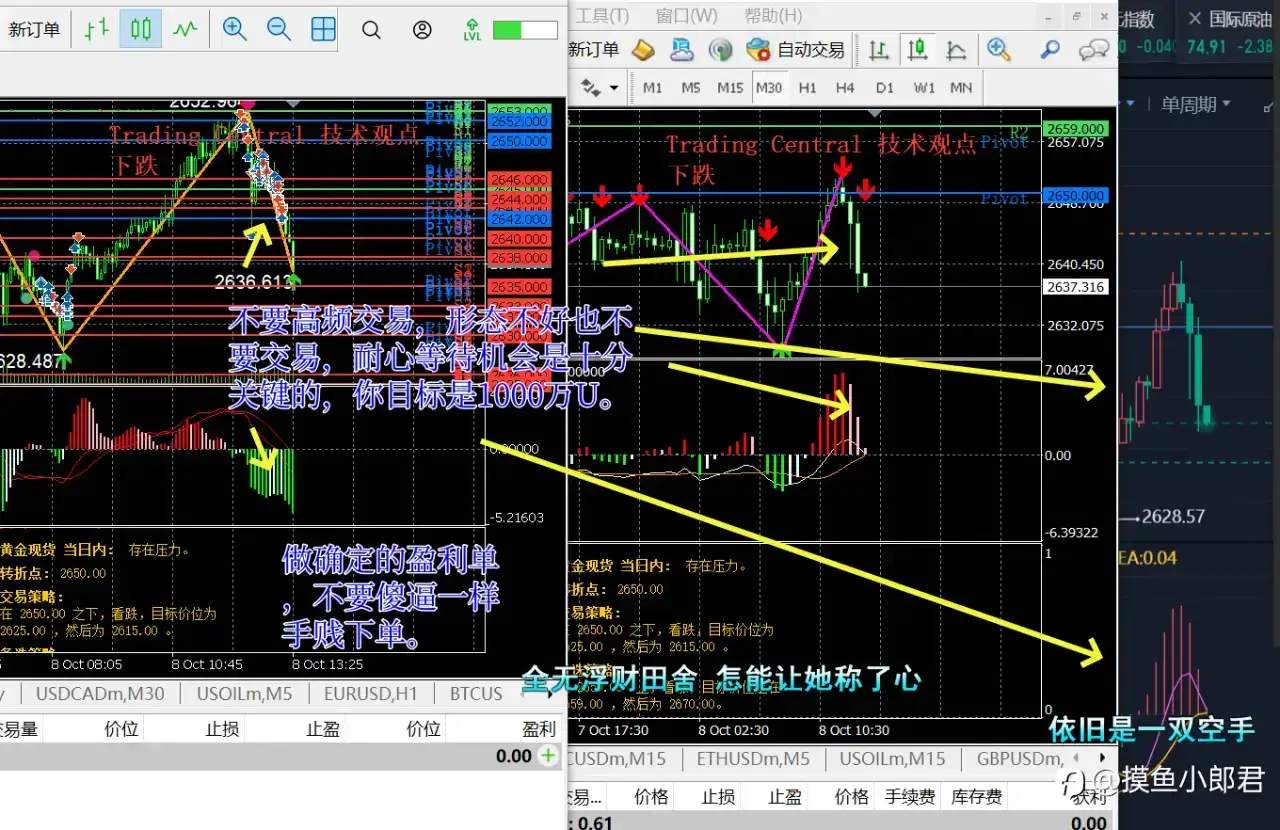 极限交易的傻 B：重仓下的无限杠杆＋浮盈加仓——黄金交易心得分享……