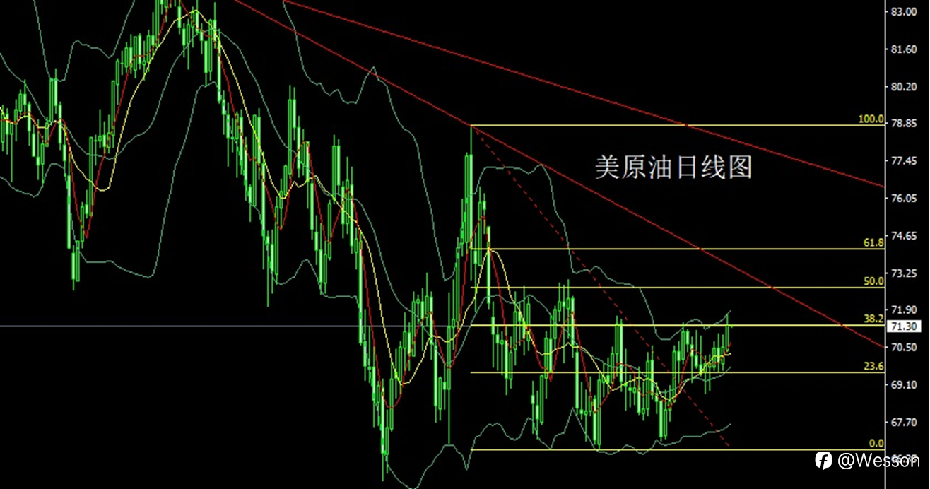 12月31日：日线双阴迎年关，金银回踩延续空
