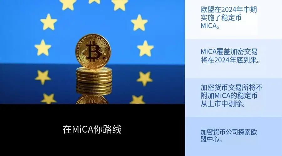 2024 年回顾：比特币突破10万美元，自营交易热潮，平台的崛起…